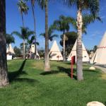 {"focusMode":1,"deviceTilt":0.006460829577173755,"whiteBalanceProgram":0,"macroEnabled":false,"qualityMode":3} (September 13, 2015)